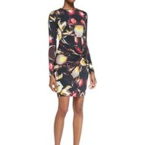 Ted Baker dress